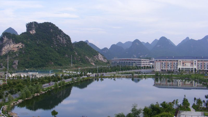 在查询整流二极管型号时，需要关注以下关键参数：