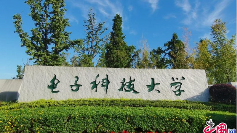 电子模块与芯片：揭秘其背后的技术奥秘**